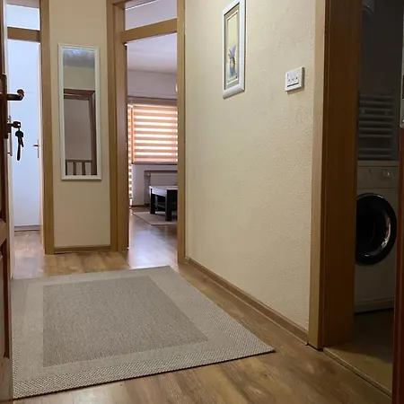 Ice Queen Vlasic 3* Sisava