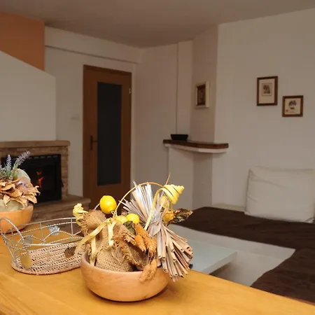 Aparthotel Ice Queen Vlasic