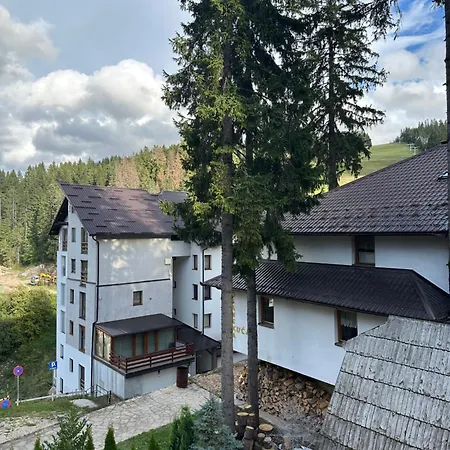 Ice Queen Vlasic 3* Sisava