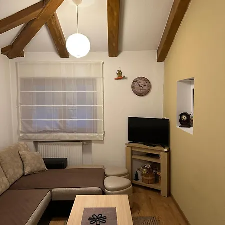 Apart-hotel Ice Queen Vlasic 3*