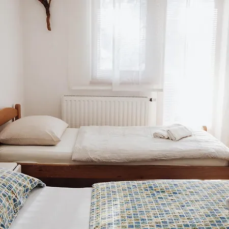 Aparthotel Ice Queen Vlasic Sisava